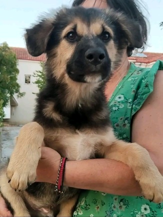 Bruno!