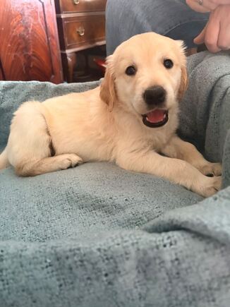 Brady