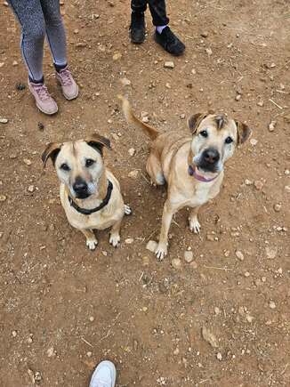 Πέγκυ κ Μαρλον