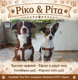 Ρίκο-Ρίτα