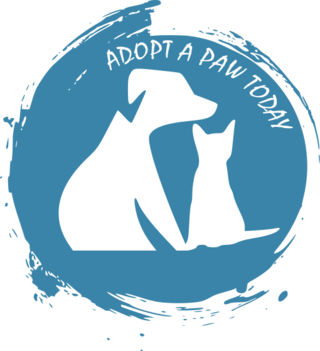 Adopt a paw today