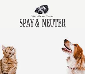 Στειρώσεις / Spay & Neuter