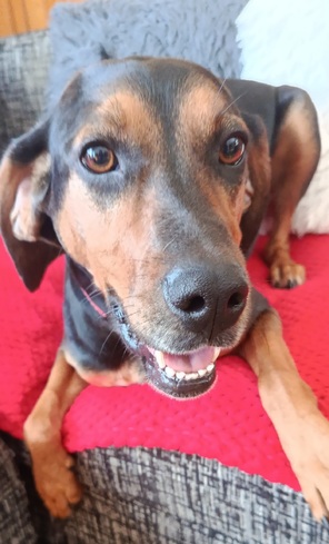 Λουλούκα ♥️♥️♥️