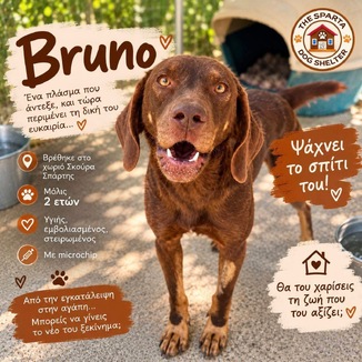 Bruno!