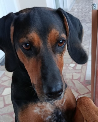 Λουλούκα ♥️♥️♥️