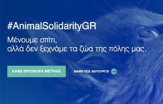 Animal Solidarity Greece του Υπουργείου Εσωτερικών για δωρεές ξηράς τροφής και κτηνιατρικών υπηρεσιών σε Δήμους