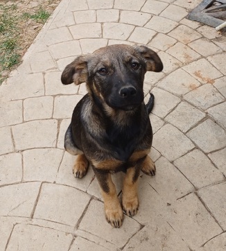 Χωρίς όνομα