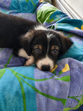 Εύα!