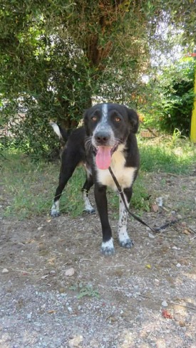 Roky